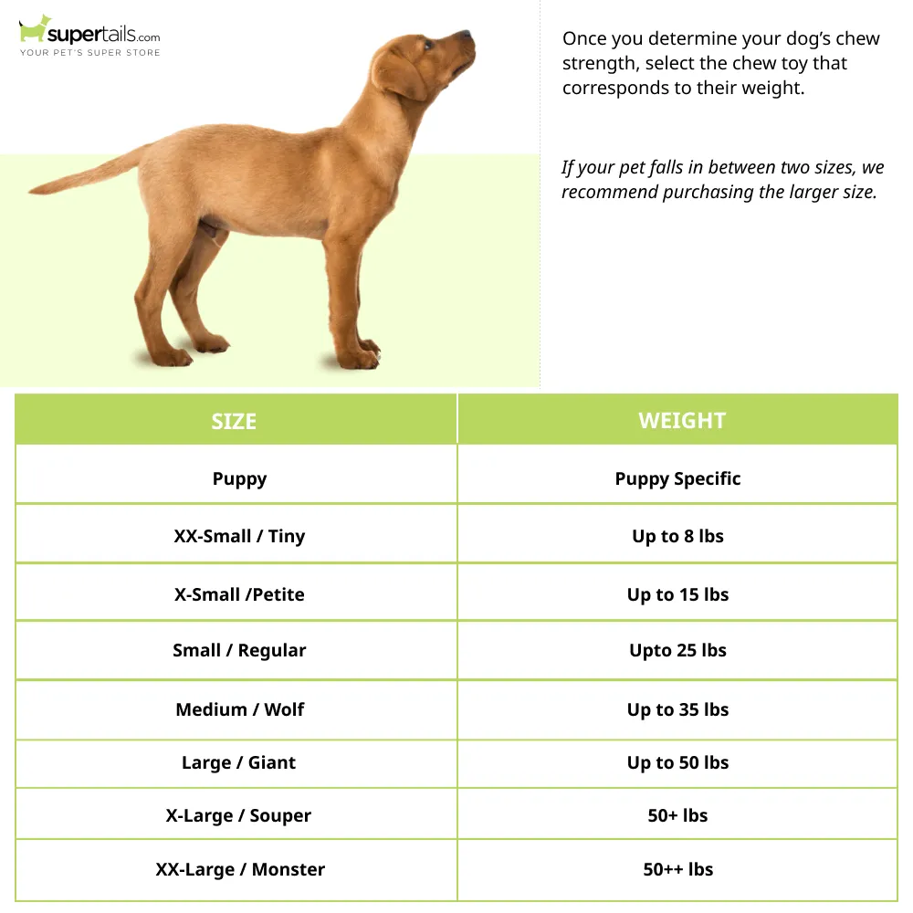 Nylabone Puppy Teething Chicken Flavoured Chew and Ring Bone Toy for Dogs (Brown)