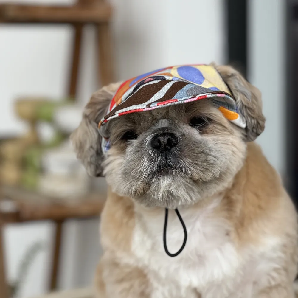 Pawgypets Cap for Dogs (Multi Color)