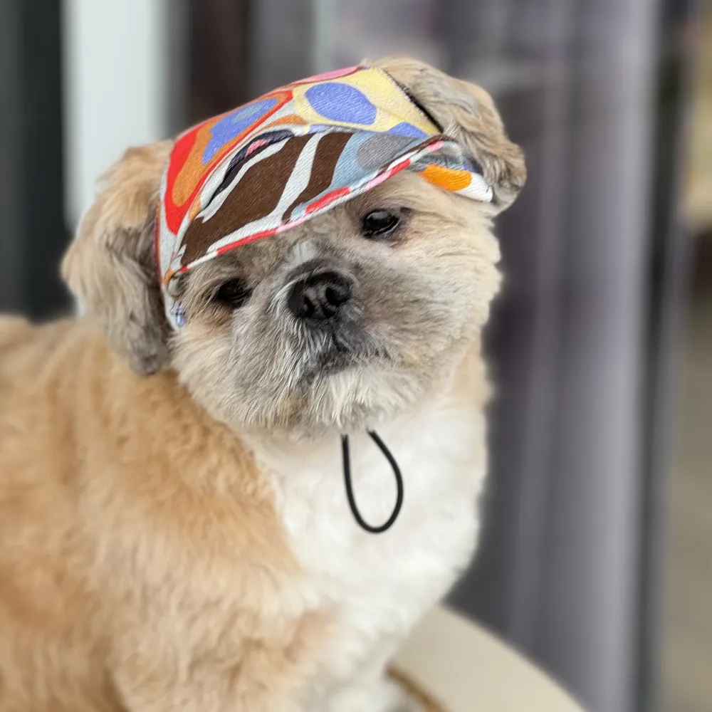 Pawgypets Cap for Dogs (Multi Color)