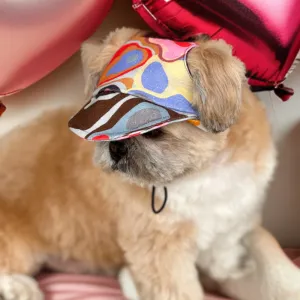 Pawgypets Cap for Dogs (Multi Color)