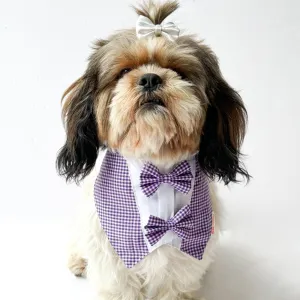 Pawgypets Casual Check Bandana for Dogs and Cats (Purple)