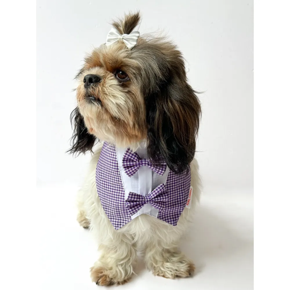 Pawgypets Casual Check Bandana for Dogs and Cats (Purple)