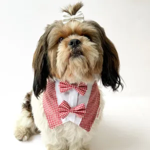 Pawgypets Casual Check Bandana for Dogs and Cats (Red)