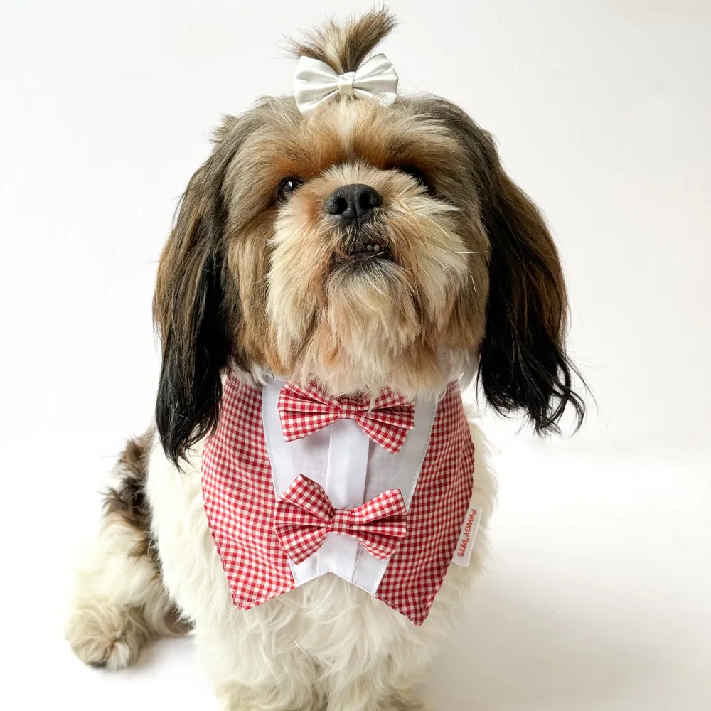 Pawgypets Casual Check Bandana for Dogs and Cats (Red)