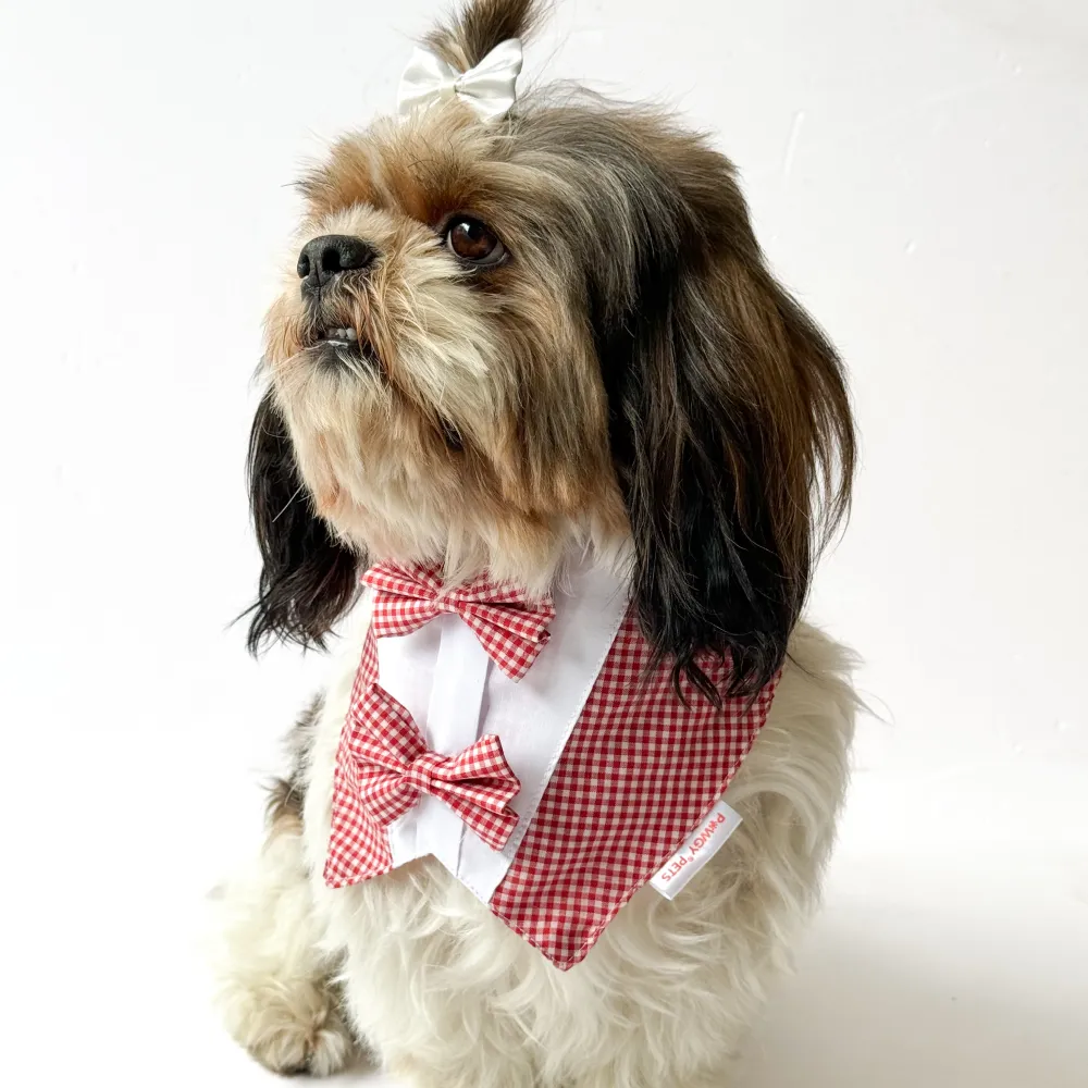 Pawgypets Casual Check Bandana for Dogs and Cats (Red)