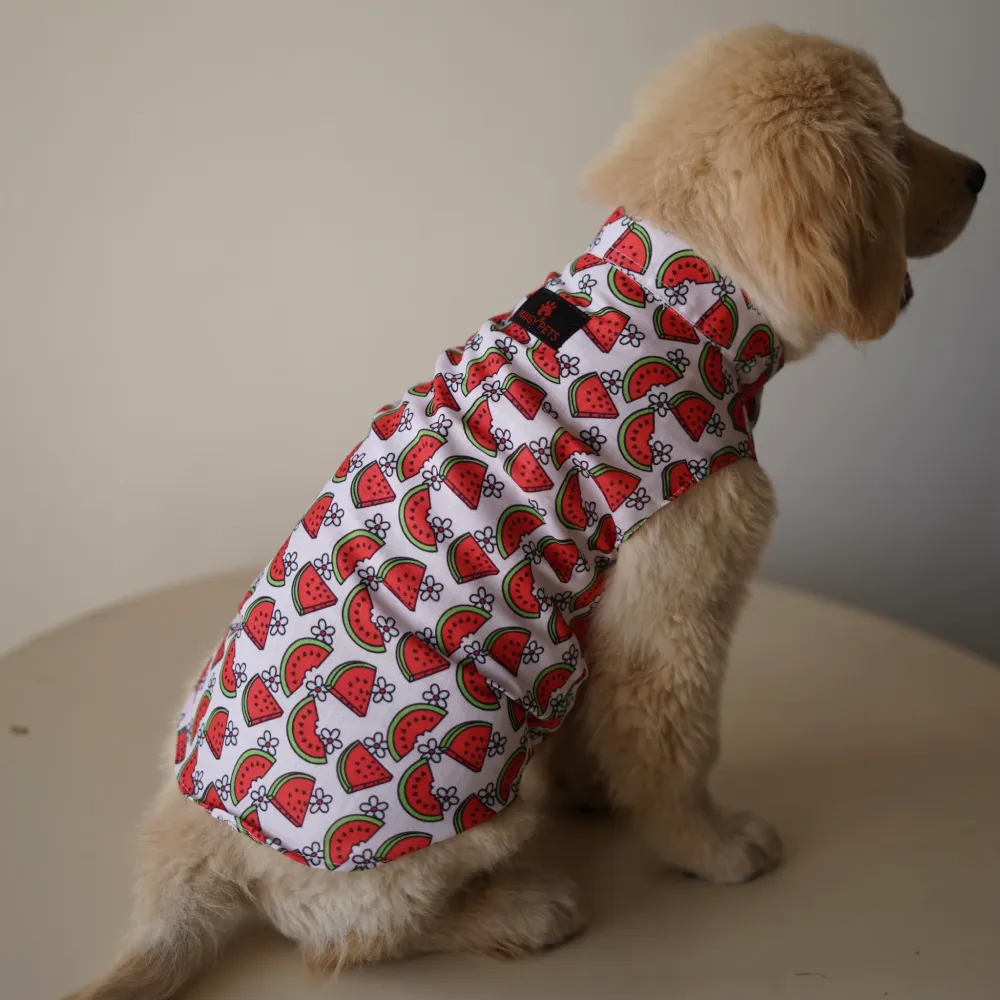 Pawgypets Daisy Melon Sando for Dogs (Pink)