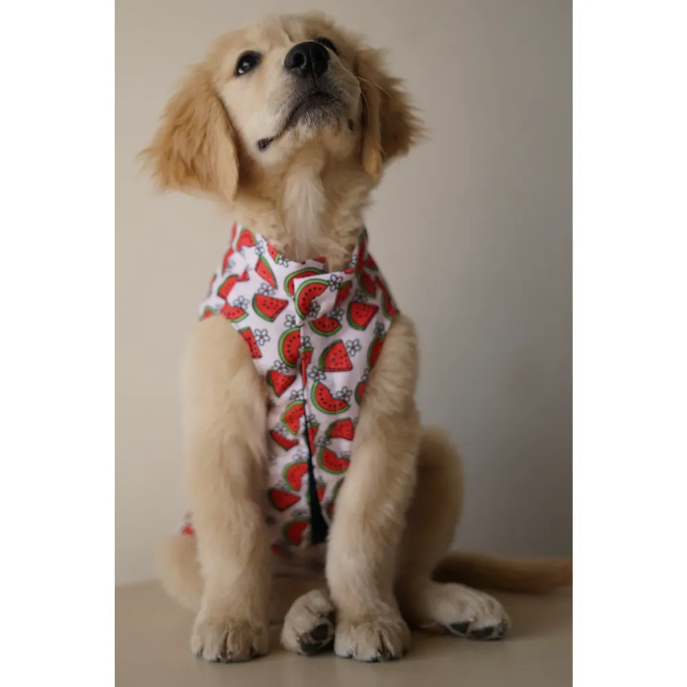 Pawgypets Daisy Melon Sando for Dogs (Pink)