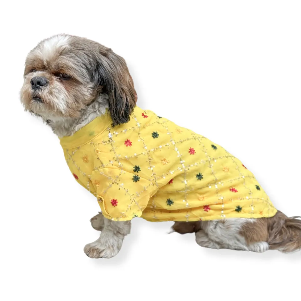 Pawgypets Festive Shirt for Dogs and Cats (Yellow)