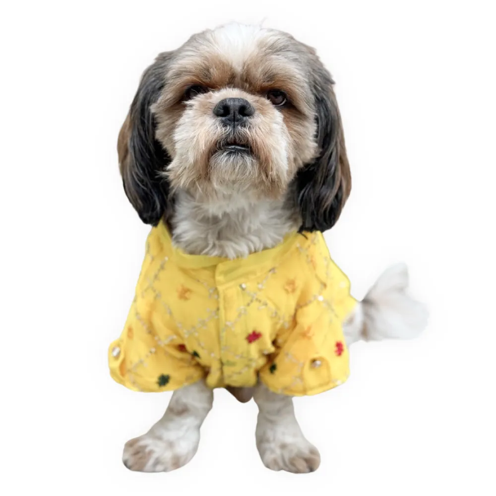 Pawgypets Festive Shirt for Dogs and Cats (Yellow)