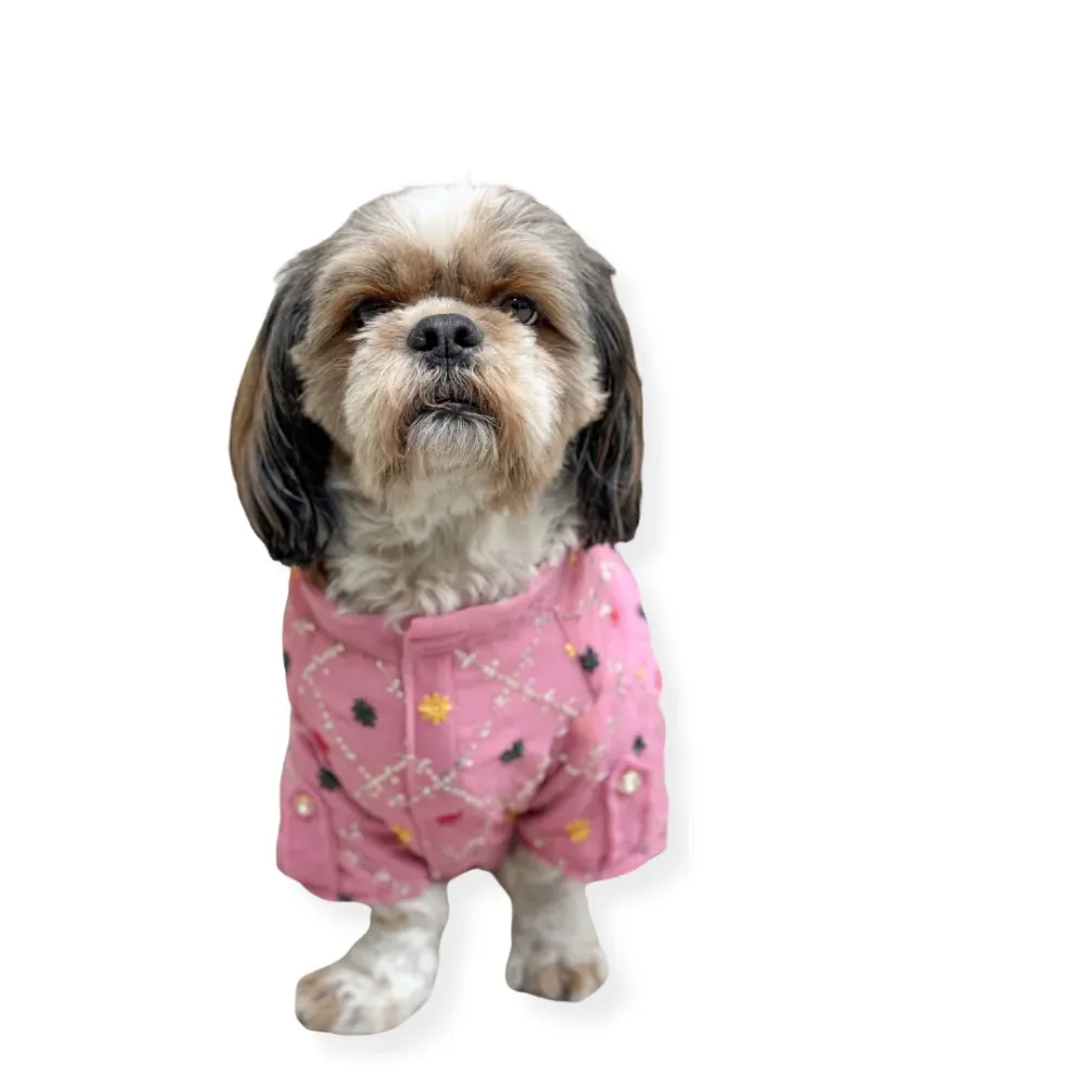 Pawgypets Festive Shirt for Dogs (Pink)
