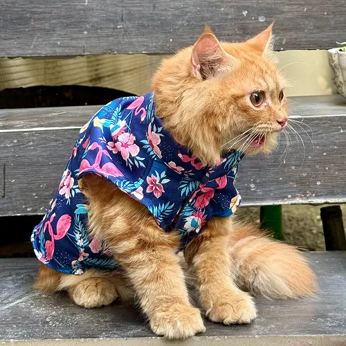 Pawgypets Flamingo Sando for Cats (Navy Blue)