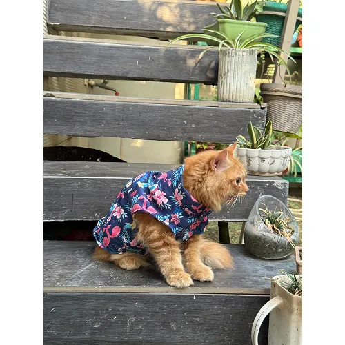 Pawgypets Flamingo Sando for Cats (Navy Blue)