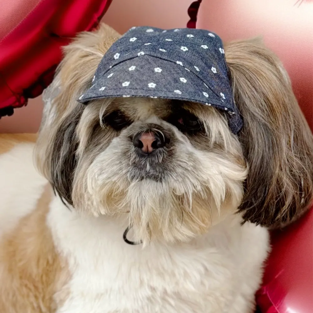 Pawgypets Floral Cap for Dogs (Denim)
