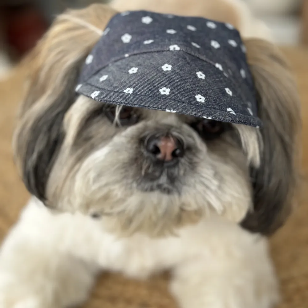 Pawgypets Floral Cap for Dogs (Denim)