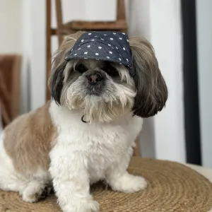 Pawgypets Floral Cap for Dogs (Denim)