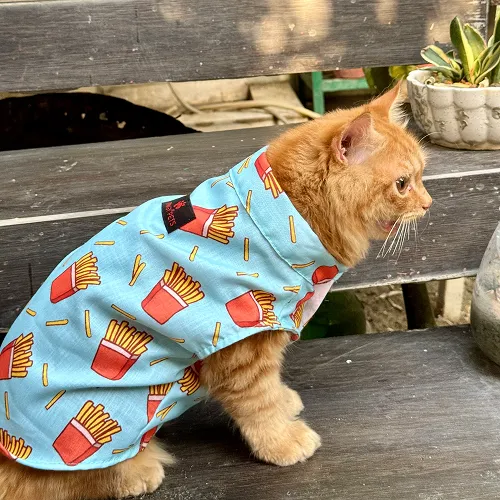 Pawgypets Fries Over Guys Sando for Cats (Blue)
