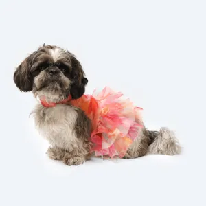 Pawgypets Frill Dress for Dogs and Cats (Orange)