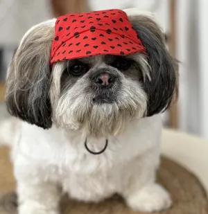 Pawgypets Heart Cap for Dogs (Red)