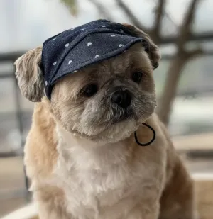 Pawgypets Hearty Cap for Dogs (Denim)