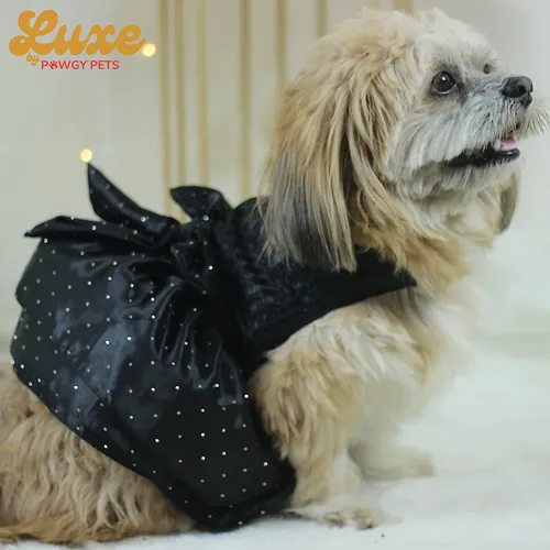 Pawgypets Luxe Balloon Dress for Dogs and Cats (Black)