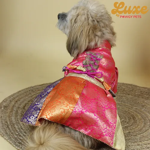 Pawgypets Luxe Brocade Colour Block Lehenga Dogs and Cats