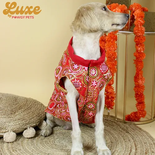 Pawgypets Luxe Embroidered Kurta for Dogs and Cats (Red)