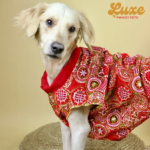 Pawgypets Luxe Embroidered Kurta for Dogs and Cats (Red)