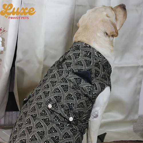 Pawgypets Luxe Embroidered Velvet Sherwani for Dogs and Cats (Black)