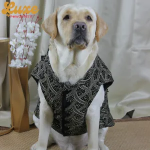 Pawgypets Luxe Embroidered Velvet Sherwani for Dogs and Cats (Black)