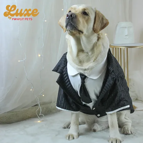 Pawgypets Luxe Shimmering Black Tie Tuxedo Dress for Dogs and Cats (Black)