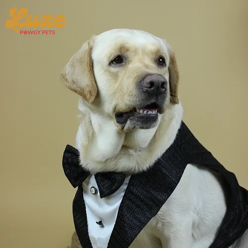 Pawgypets Luxe Shimmering Bowtie Tuxedo for Dogs and Cats (Black)