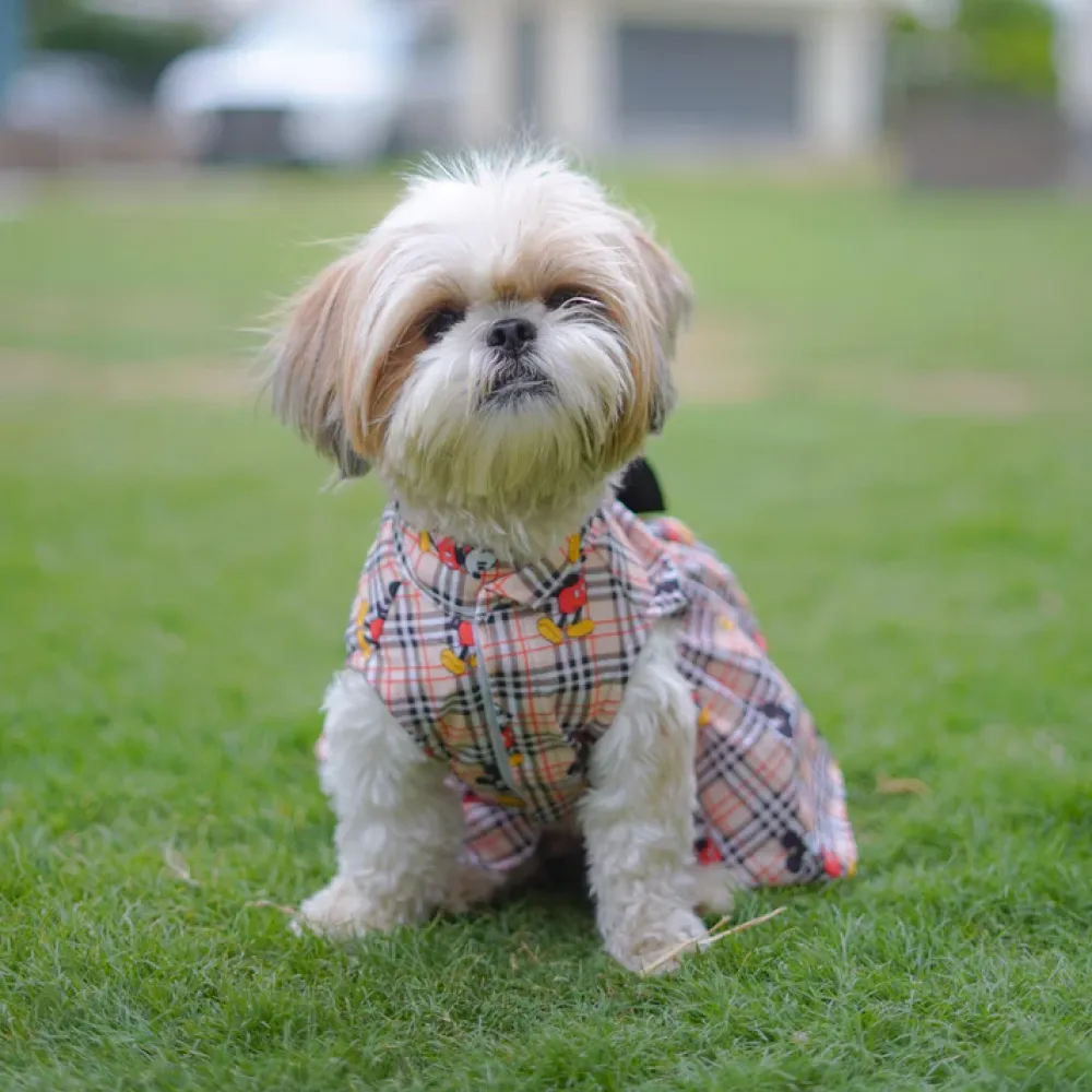 Pawgypets Mickey Check Dress for Dogs (Beige)