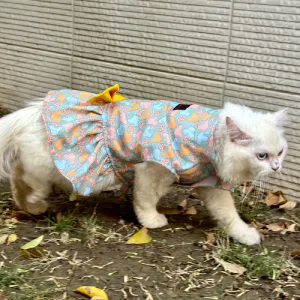 Pawgypets Mickey Overloaded Dress for Cats (Pastel Green)