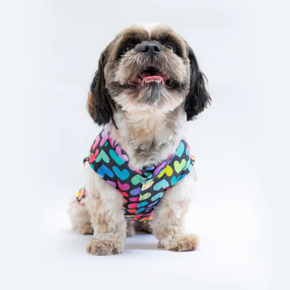 Pawgypets Multi Heart Sando for Dogs (Multi Colour)