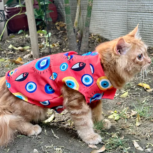 Pawgypets Nazar Na Lage Sando for Cats (Red)