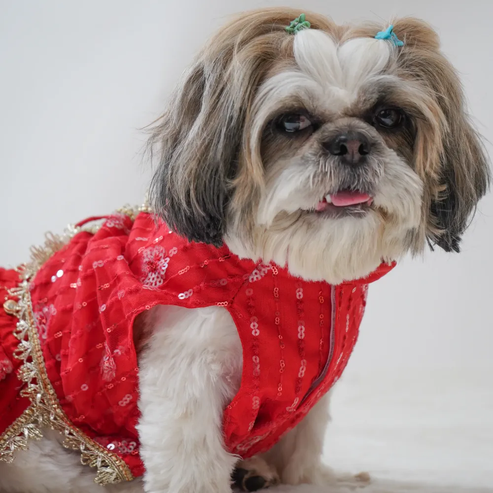 Pawgypets Net Lehenga for Dogs (Red)