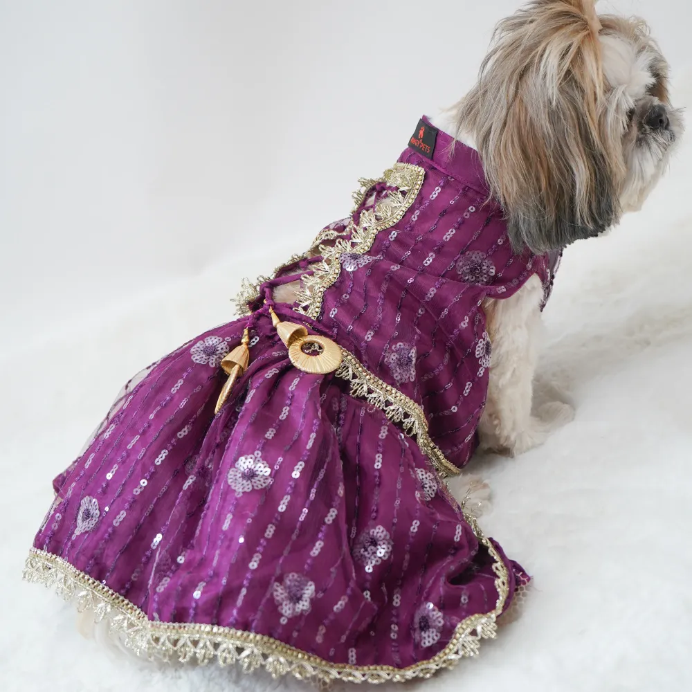 Pawgypets Net Lehenga for Dogs (Violet)