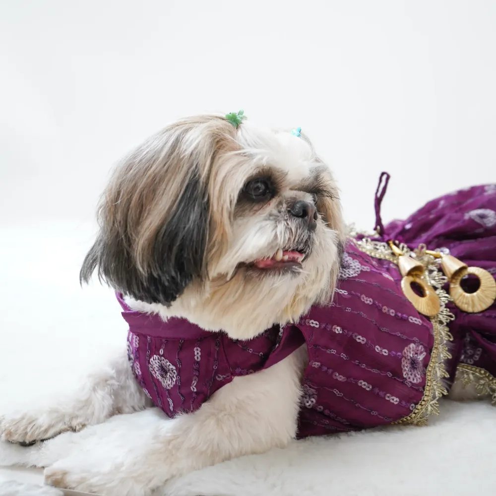Pawgypets Net Lehenga for Dogs (Violet)