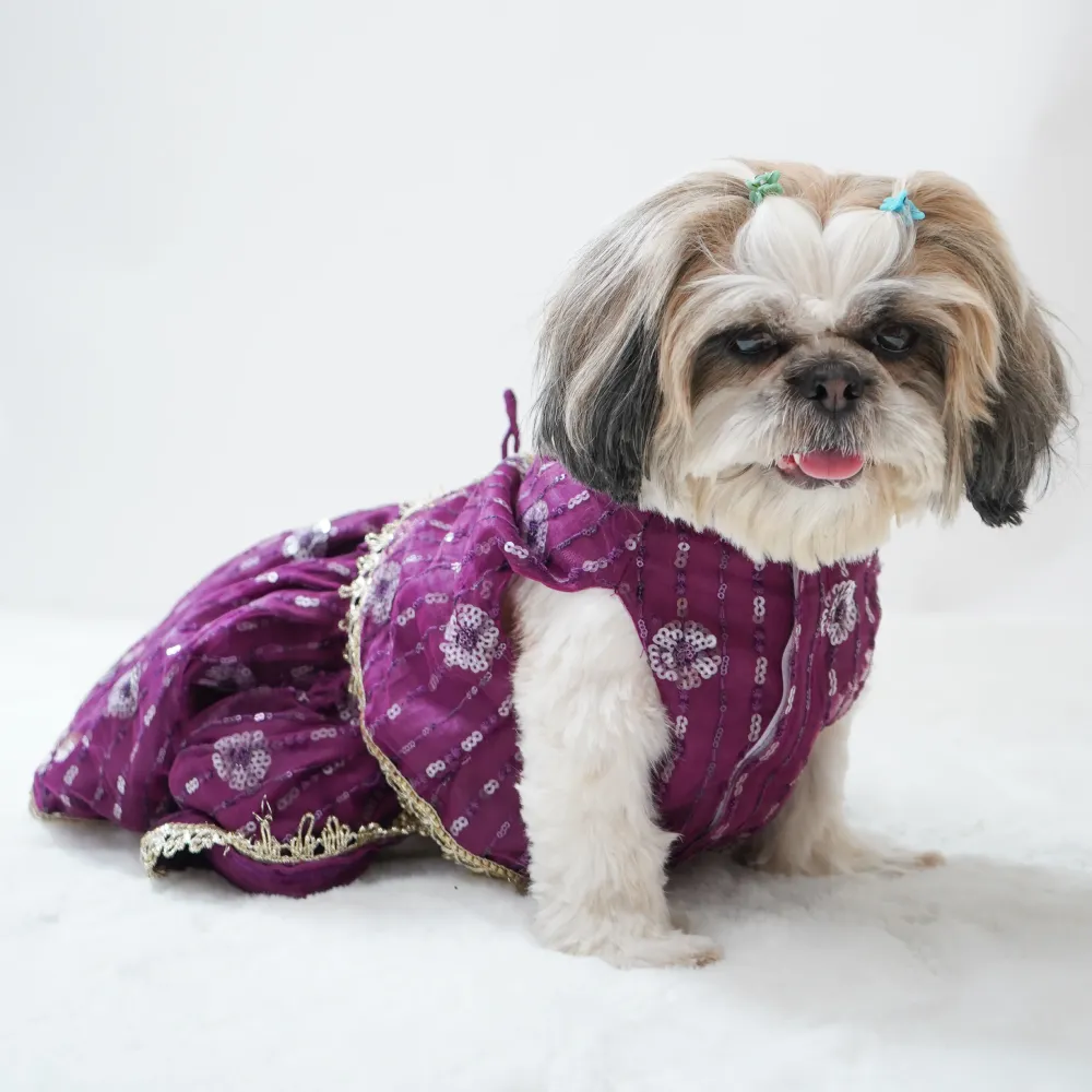 Pawgypets Net Lehenga for Dogs (Violet)
