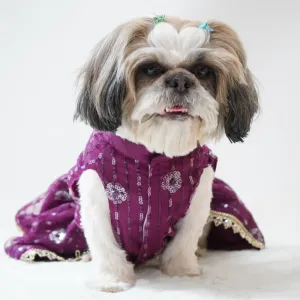 Pawgypets Net Lehenga for Dogs (Violet)