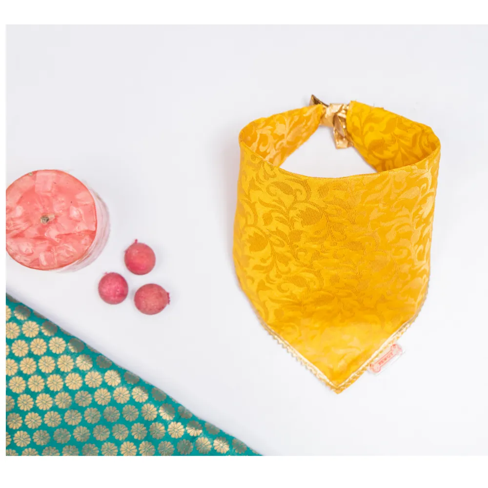 Pawgypets Occasion Wear Bandana for Dogs and Cats (Yellow)