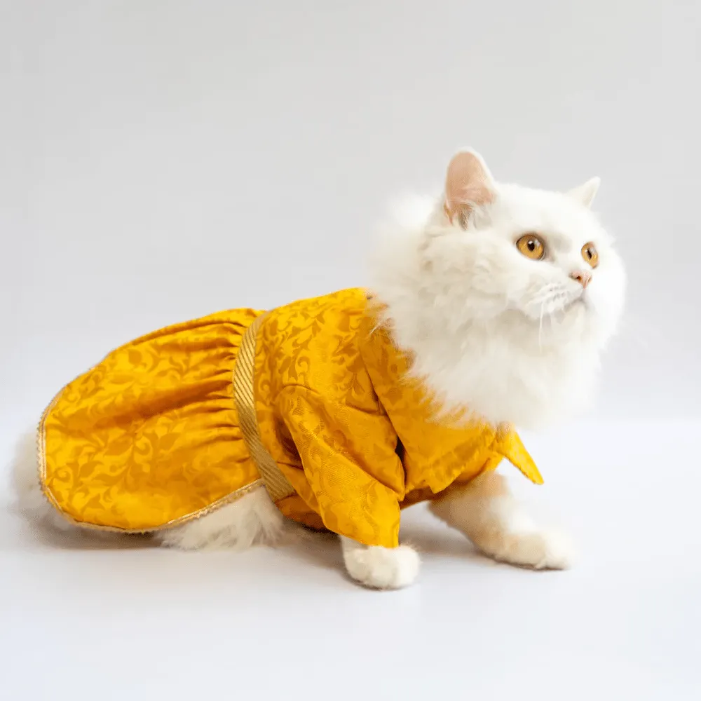 Pawgypets Occasion Wear Dress for Dogs and Cats (Yellow)