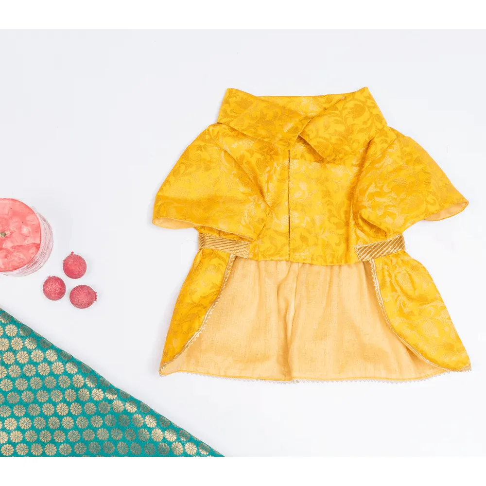 Pawgypets Occasion Wear Dress for Dogs and Cats (Yellow)