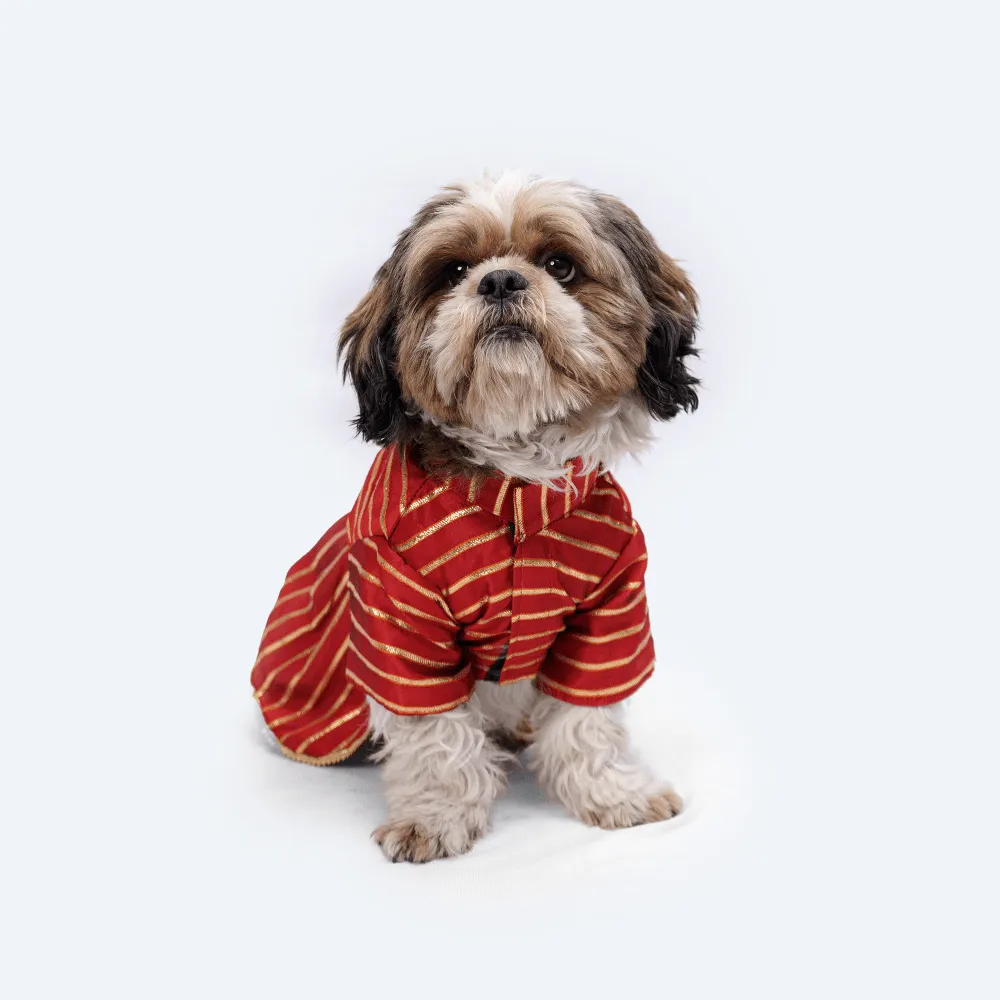 Pawgypets Occasion Wear Gota Dress for Dogs and Cats (Red)