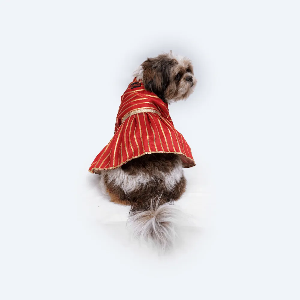 Pawgypets Occasion Wear Gota Dress for Dogs and Cats (Red)