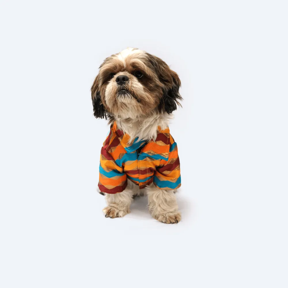 Pawgypets Occasion Wear Shirt for Dogs and Cats (Multi Stripe)