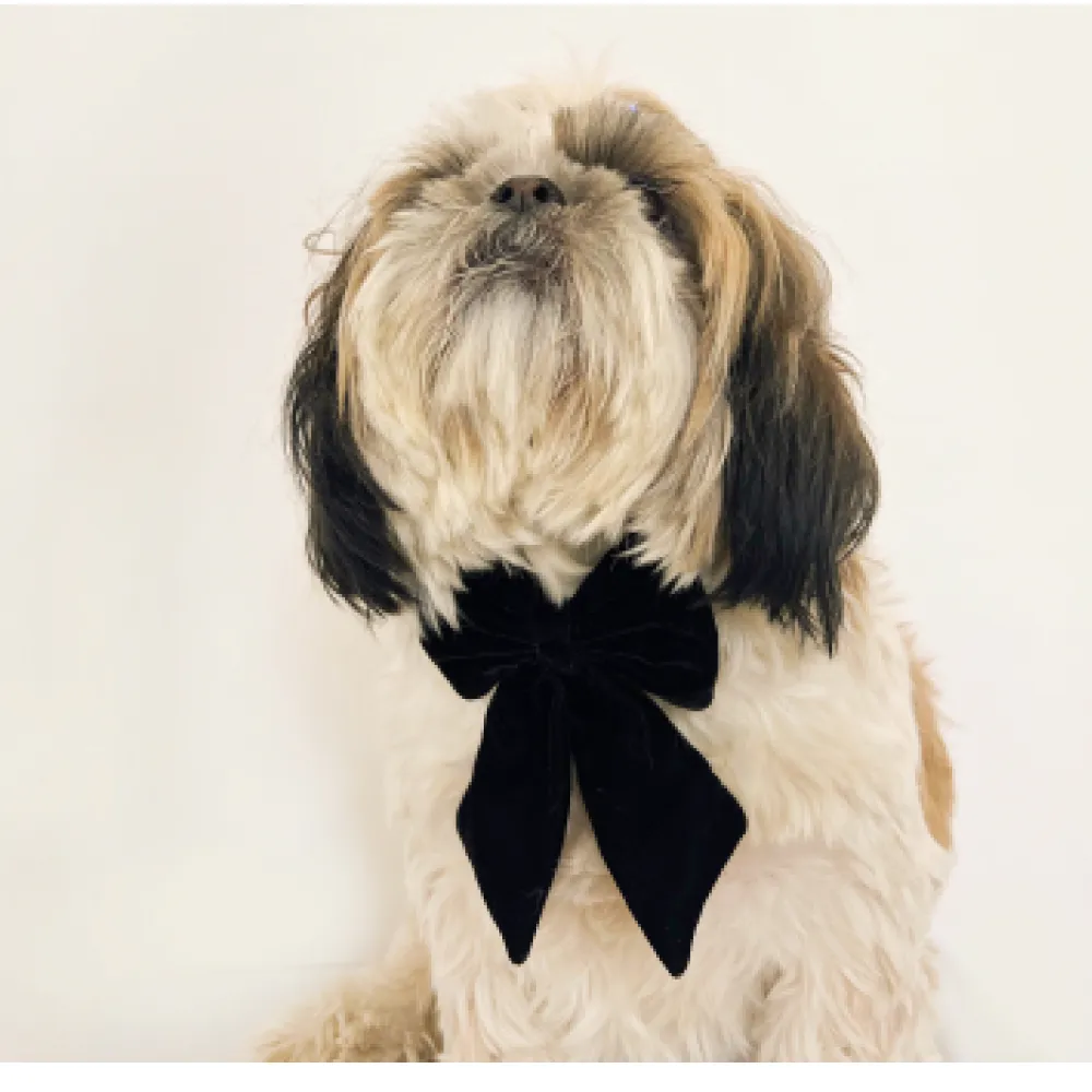 Pawgypets Pigtail Bowtie for Dogs and Cats
