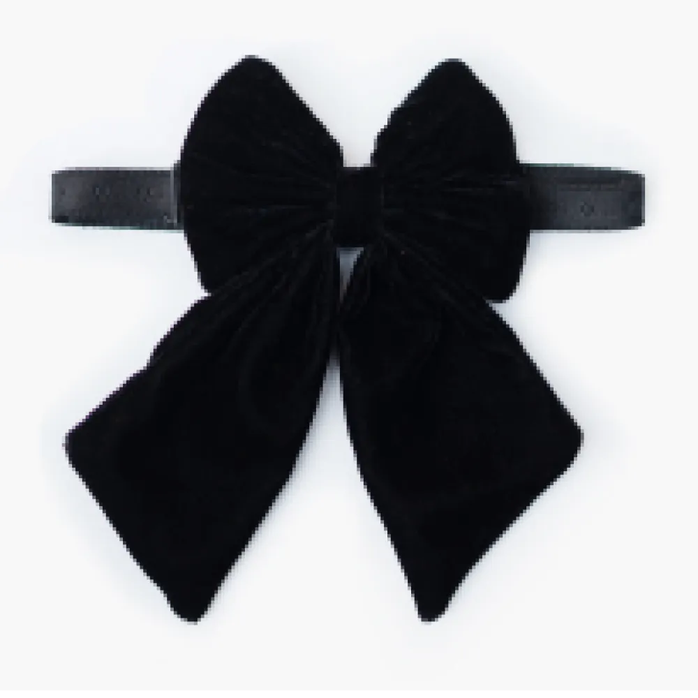 Pawgypets Pigtail Bowtie for Dogs and Cats