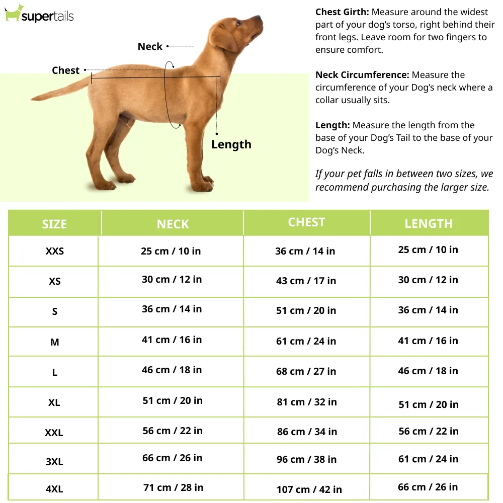 Pawgypets Rainbow Sando for Dogs (off white)