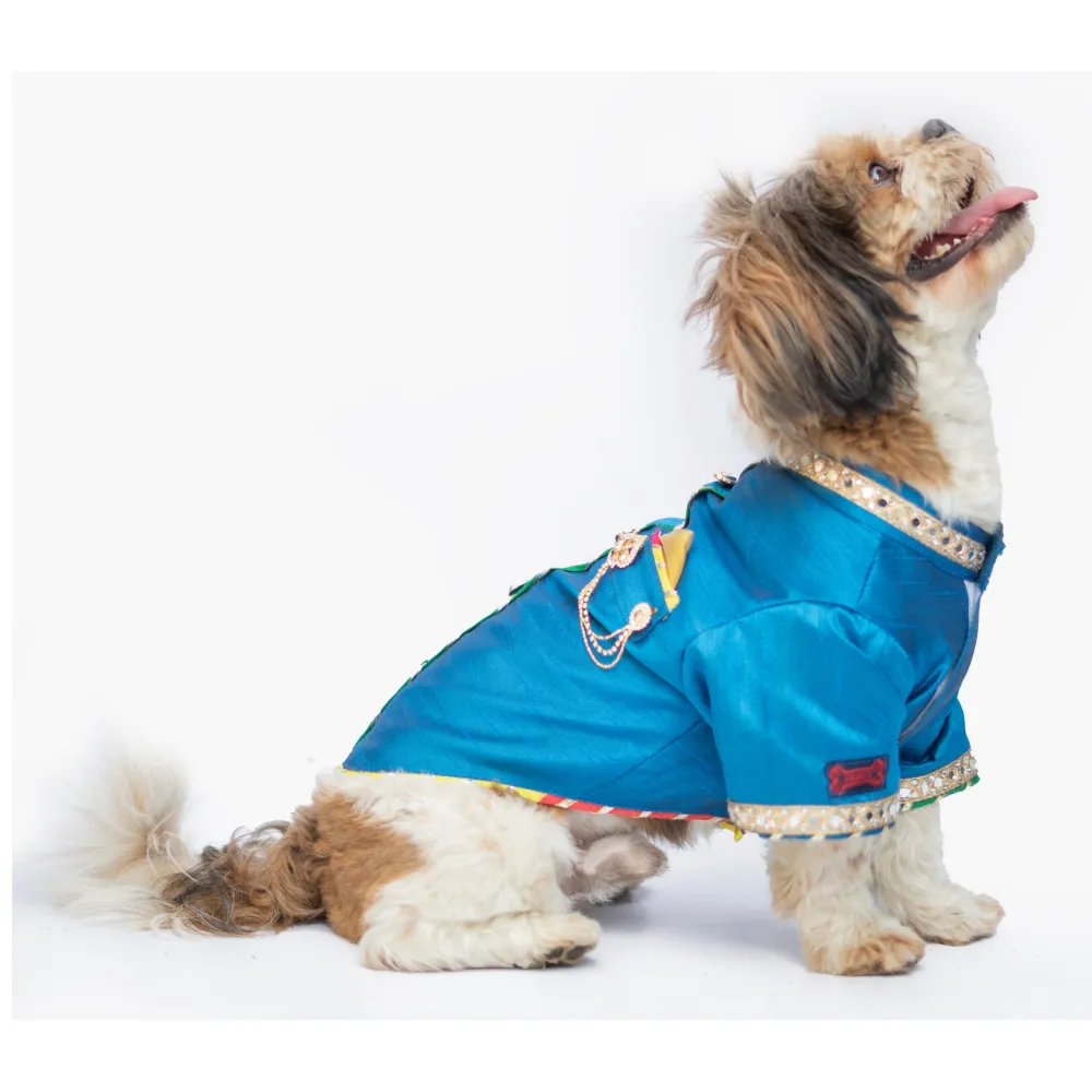 Pawgypets Raw Silk Sherwani for Dogs and Cats (Blue)